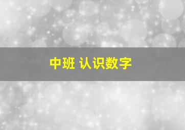 中班 认识数字